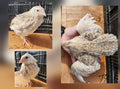 Jumbo Cinnamon Hatching Eggs (Dozen)